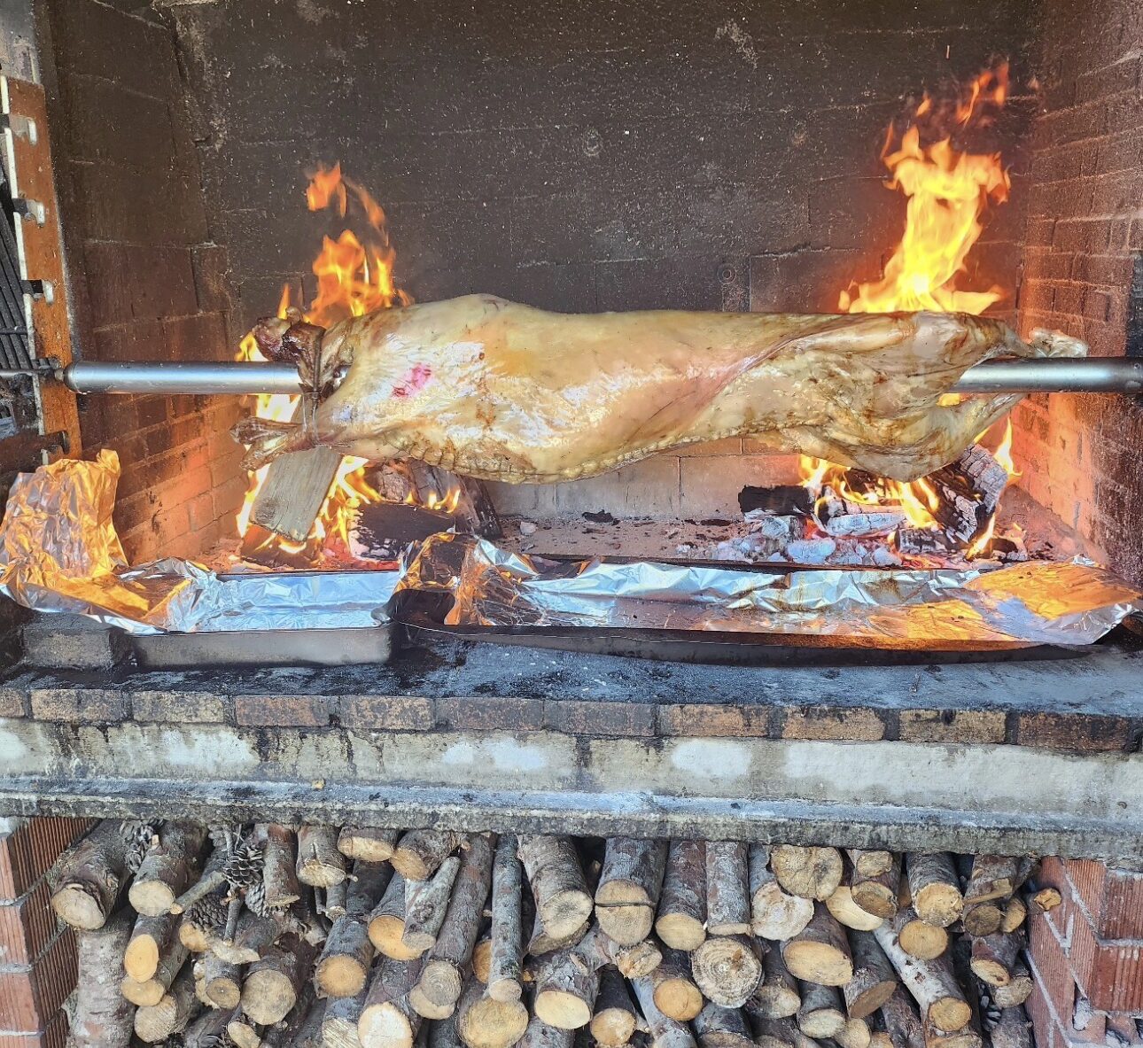 IMG 0889 E1784642521403
